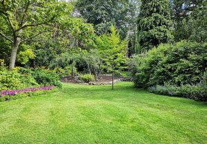 Optimiser l'expérience du jardin à Chenieres