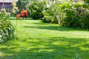 travaux jardin et paysage Chenieres